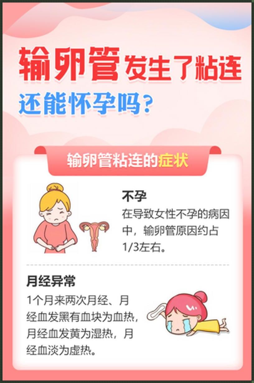 无痛通输卵管：价格背后的选择与考量