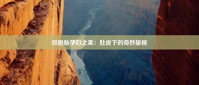 双胞胎孕妇之美：肚皮下的奇妙旅程