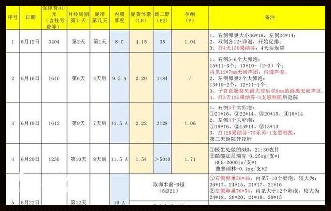 揭秘大连试管婴儿费用之谜