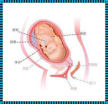 孕35周后胎儿还会猛涨吗？