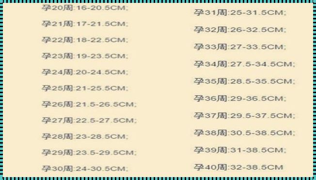 孕37周宝宝腹围336mm正常吗？新动态下的孕期健康探讨