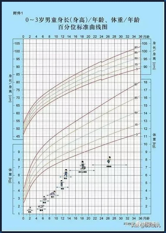 探究胎儿胖瘦之谜：遗传、营养与生活习惯