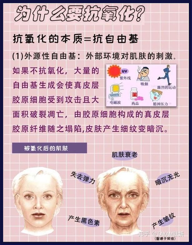 抗氧化性强是什么意思