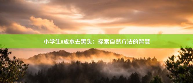 小学生0成本去黑头：探索自然方法的智慧