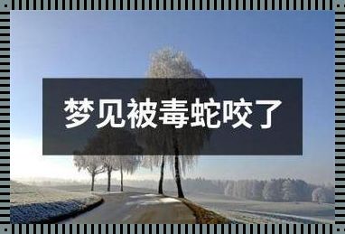 妻子怀孕男人梦见被蛇咬：梦境背后的情感解读