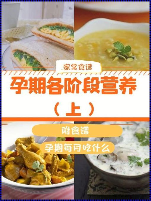 孕妇营养的食物：为母婴健康保驾护航