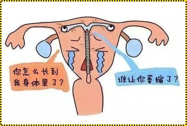 女性节育后还会怀孕吗？探秘生育的奥秘