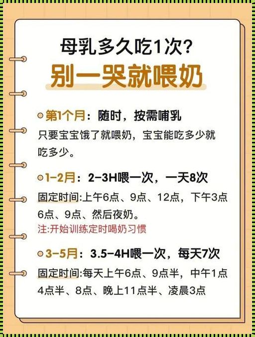 十一个月宝宝喂养时间表：科学喂养，助力宝宝健康成长