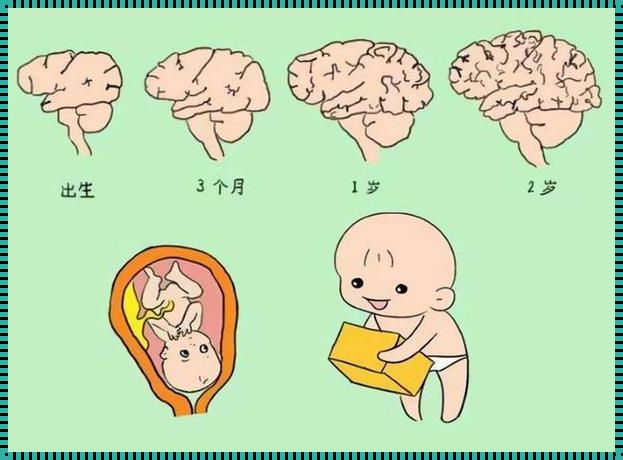 早产儿智力会有影响吗？深入解析与方案探讨