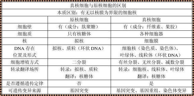 哺乳动物成熟红细胞考点：揭秘