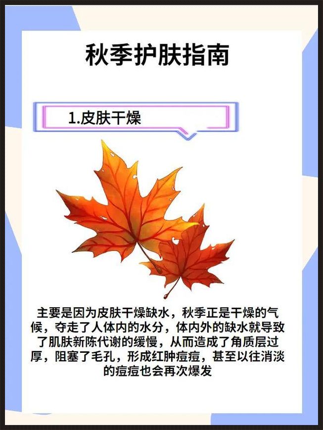 秋季护肤指南：美丽升级，温暖过秋