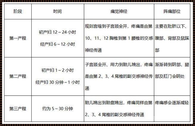 三个产程的观察要点：守护新生命的璀璨时刻