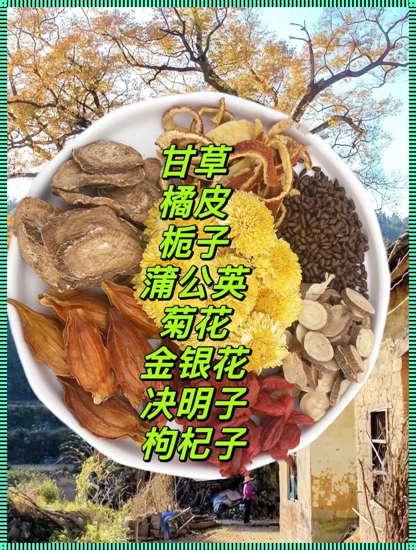 探讨菊花绝明子茶长期饮用之道