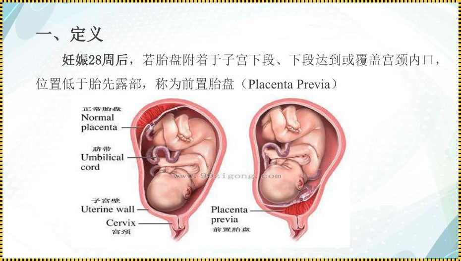 孕11周胎盘厚度14mm正常吗？深度解析与探讨