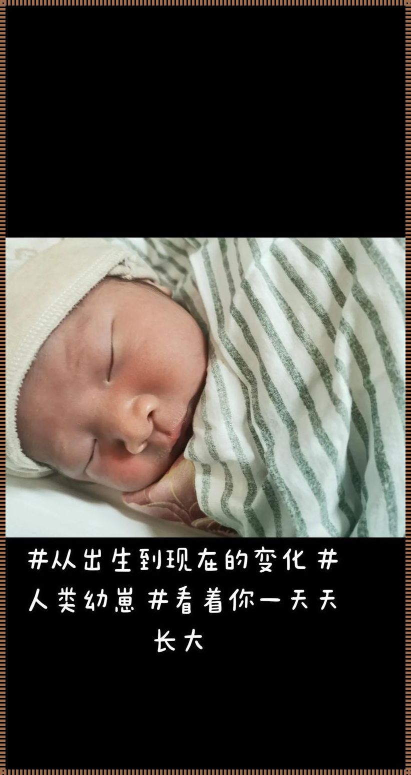 揭秘：新生儿的诞生流程