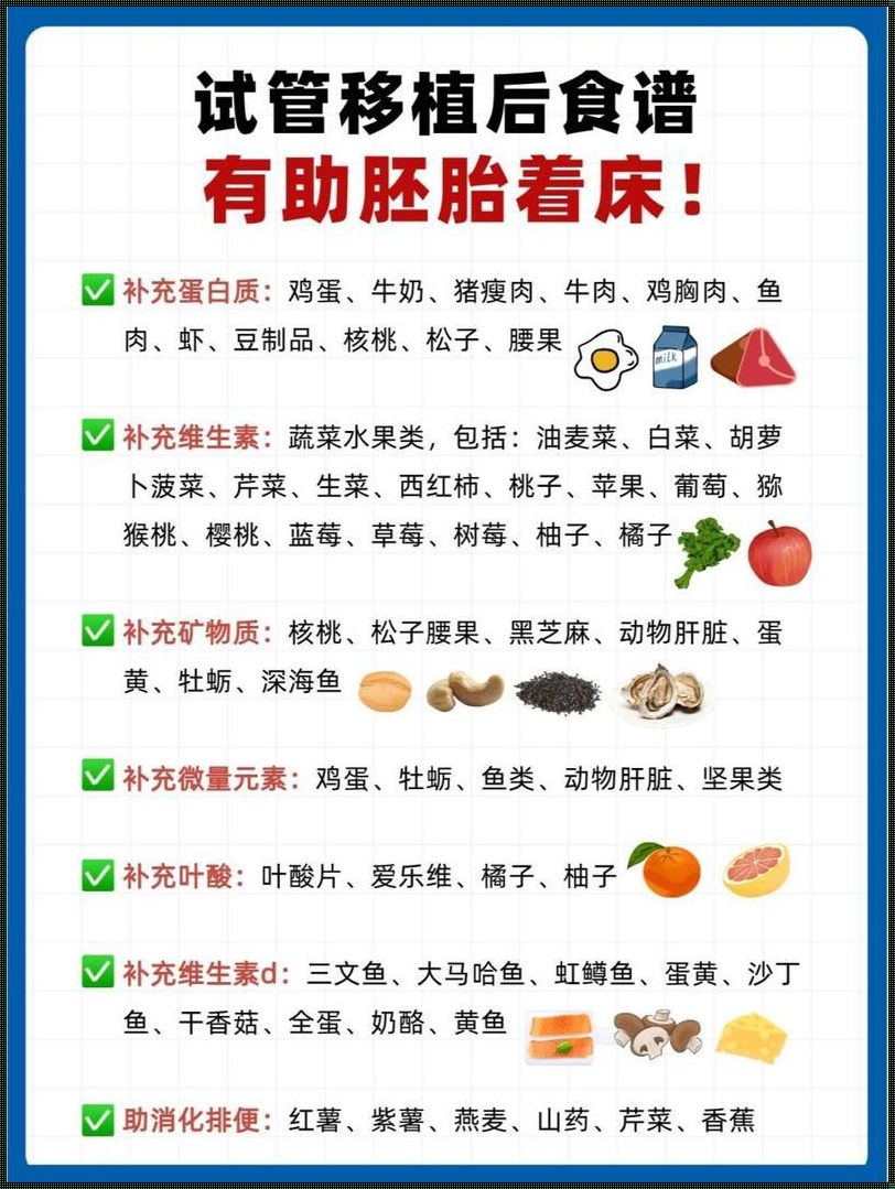 试管移植后吃什么食物：一份精心准备的健康食谱