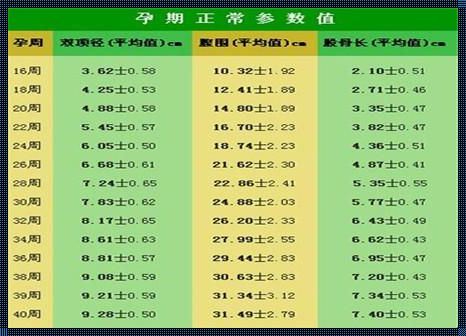 67mm股骨相当于多少周：探寻人体奥秘