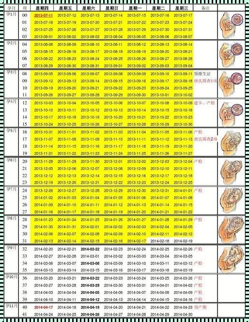 怀孕周期查询表：为您解答孕期疑惑