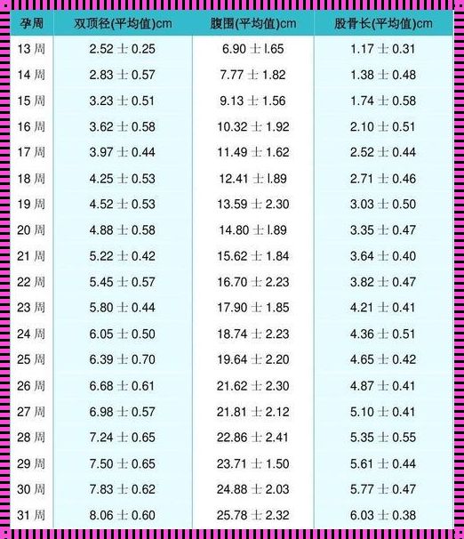 27周胎儿标准对照表