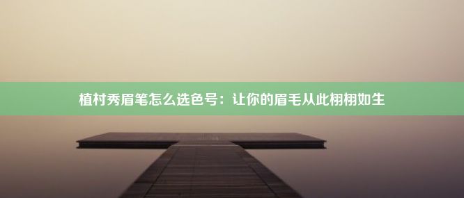 植村秀眉笔怎么选色号：让你的眉毛从此栩栩如生