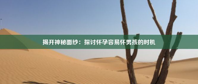 揭开神秘面纱：探讨怀孕容易怀男孩的时机