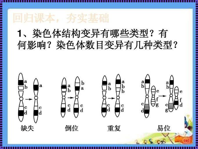 揭开染色体变异的五种类型的神秘面纱