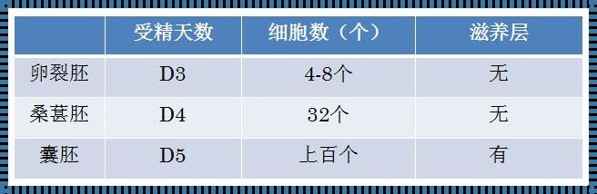 一代试管移植囊胚成功率：探讨与期待