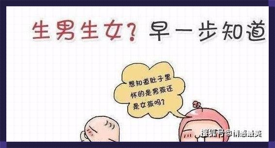 怀孕两个月怎么看男孩女孩：探究性别决定的奥秘