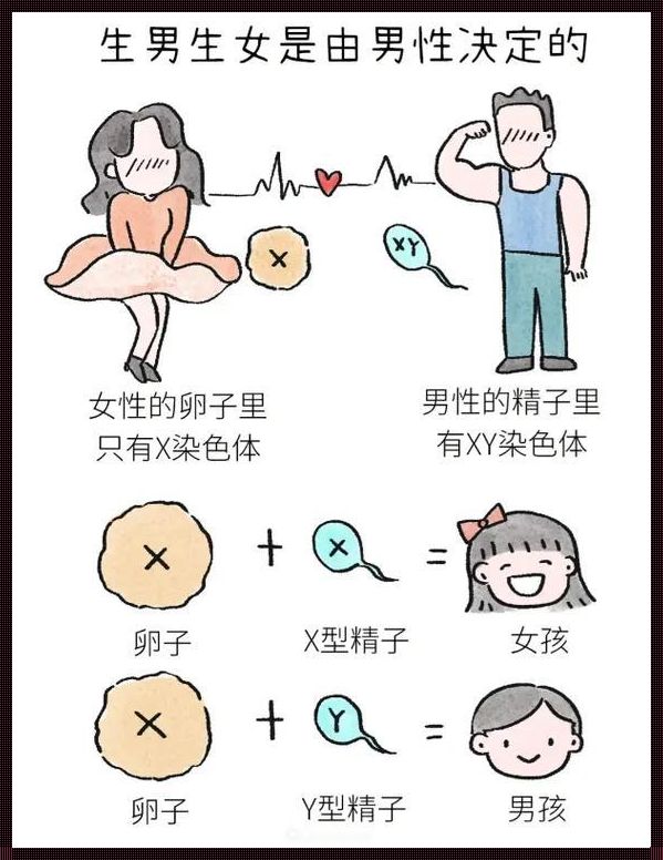 意外的惊喜，未备孕怀孕的背后