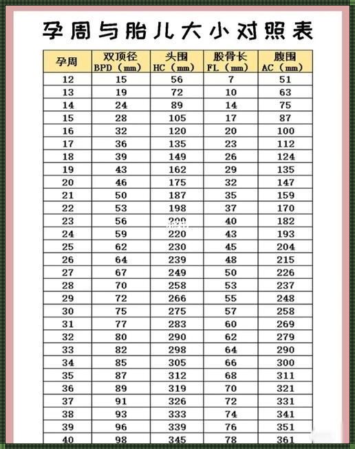 胎儿周数与标准数值对照表：探讨生命早期的成长里程碑