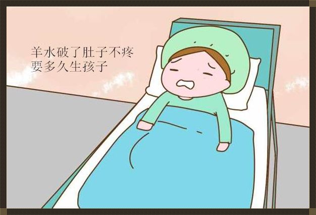 动漫怀孕视频肚子疼要生宝宝了：探索与现实的交融