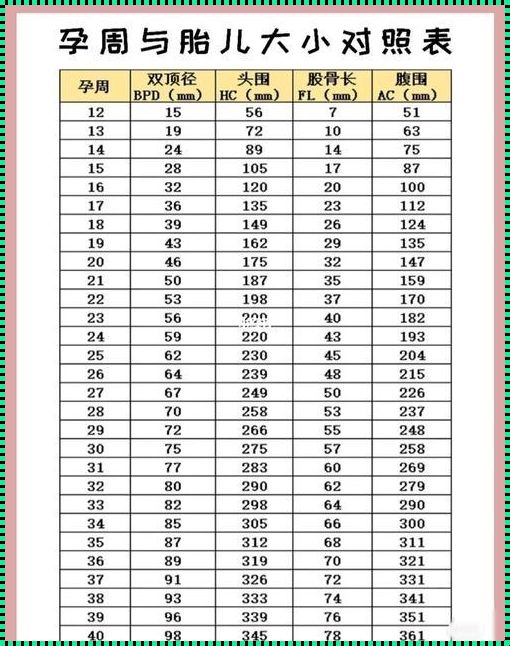 31周标准值对照表：惊现未知秘密