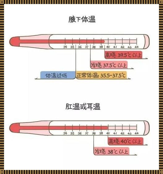 婴儿的正常体温是多少？