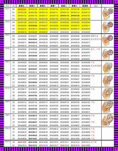 怀孕怎么测算时间：深入了解与精准计算