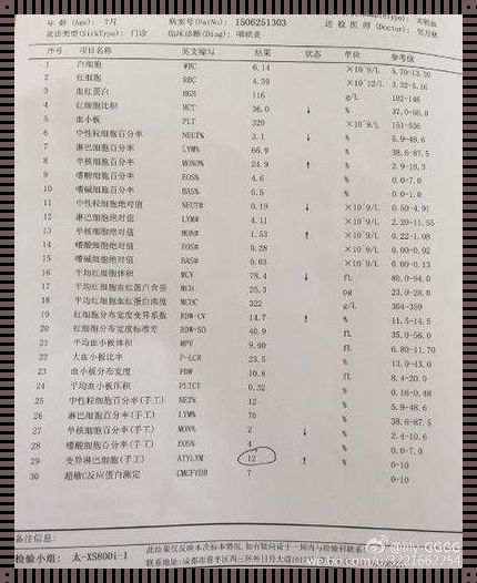 揭开验血怀孕报告单的神秘面纱