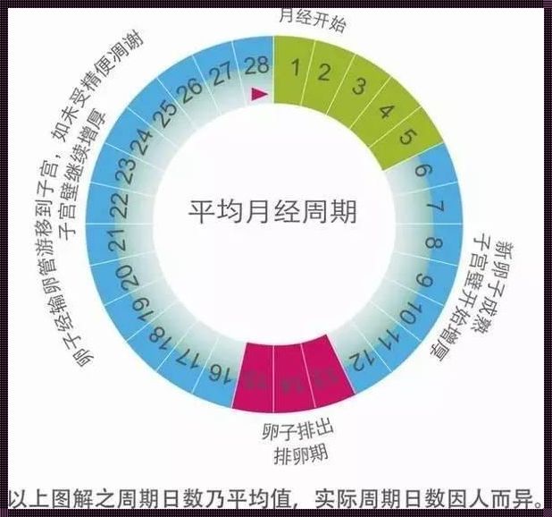 月经周期45天能自然怀孕吗？揭秘背后的神秘面纱