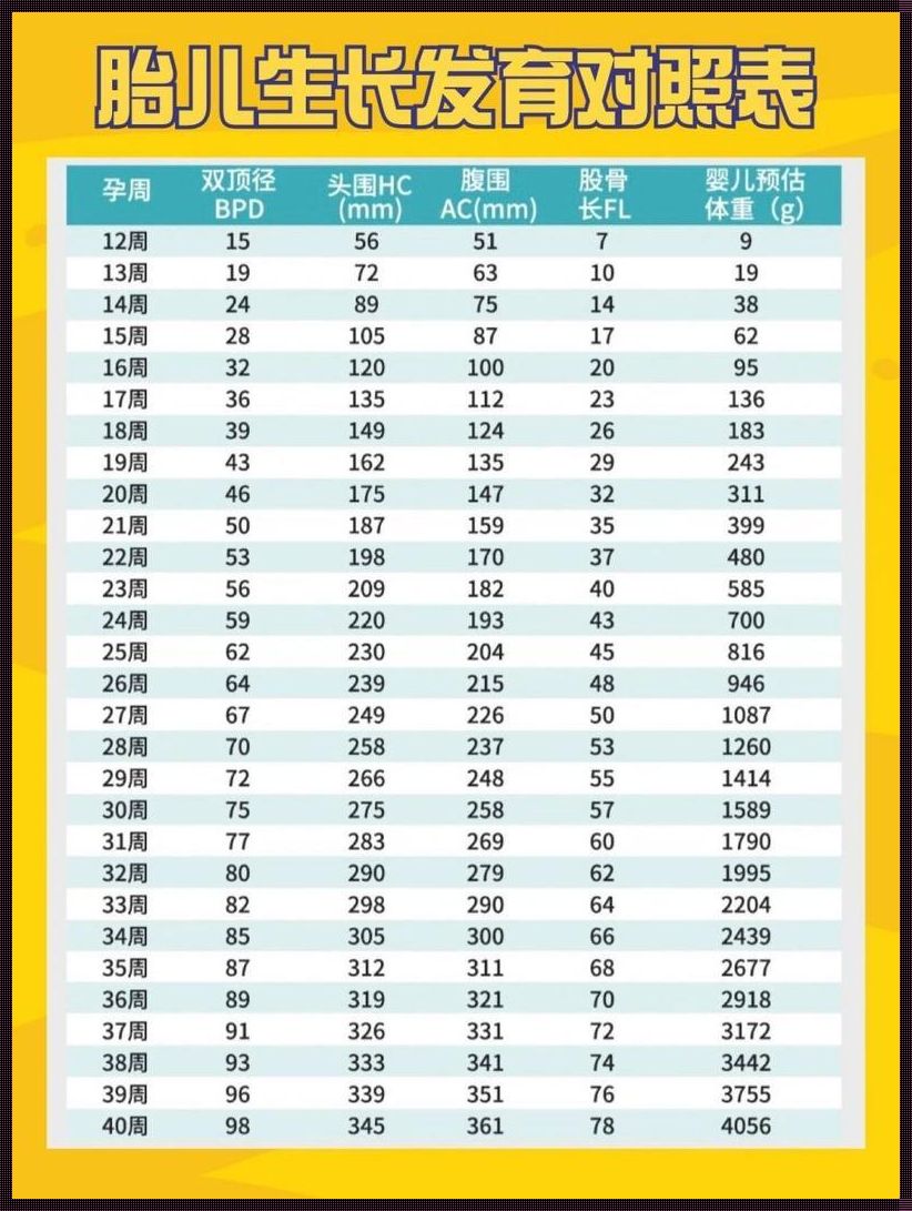 孕20周胎儿多重合适：关爱生命的起点