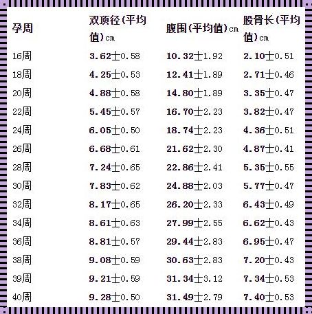 胎儿23周股骨长标准值：揭秘