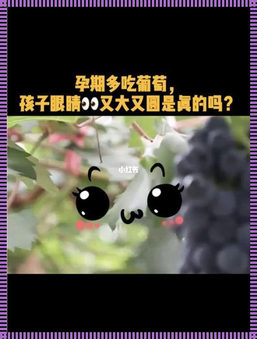 孕四周可以吃葡萄吗？探秘孕期饮食的真相