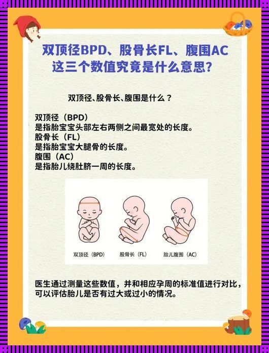 双顶径58股骨长44是男孩女孩：揭秘性别之谜