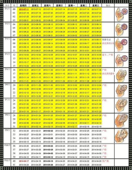 那个时间段怀孕最佳