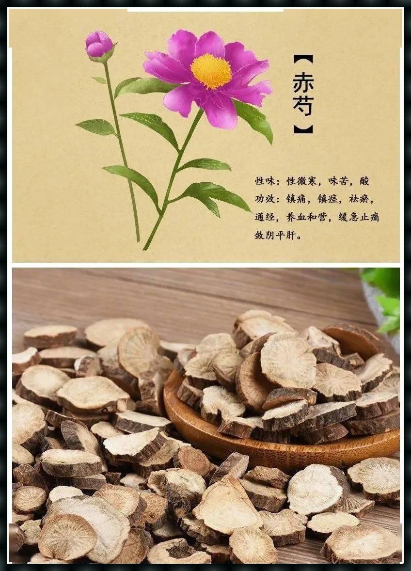 白芍：震惊世界的功效与主治