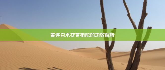 黄连白术茯苓相配的功效解析