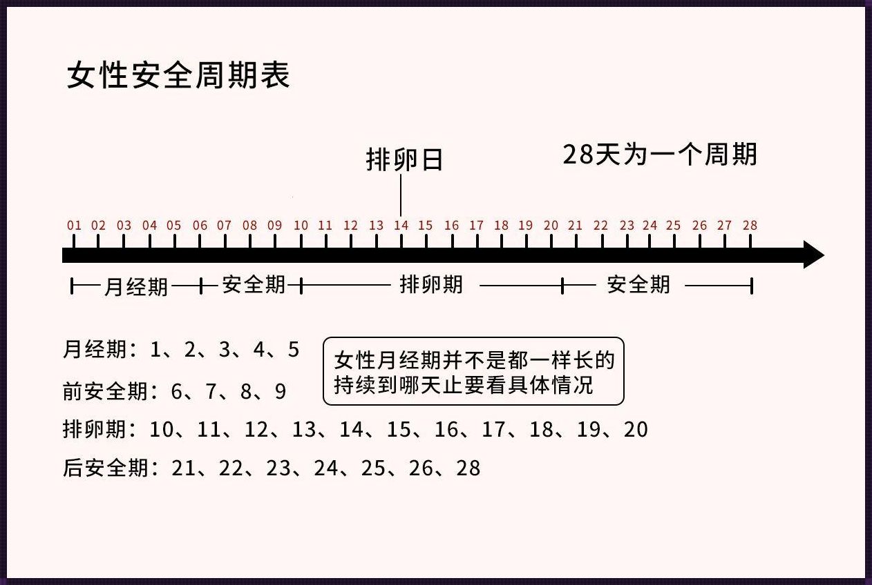 28天周期排卵日表：探索女性生理周期的奥秘