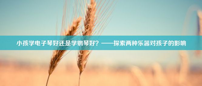 小孩学电子琴好还是学钢琴好？——探索两种乐器对孩子的影响