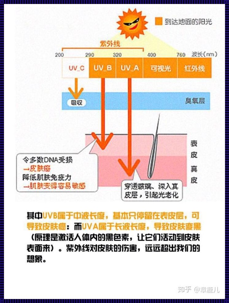 皮肤容易吸收防晒霜的原因