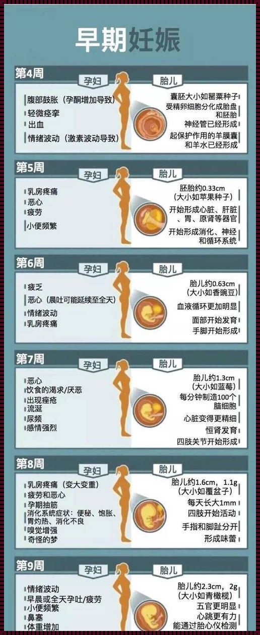 为什么早孕7到8周危险