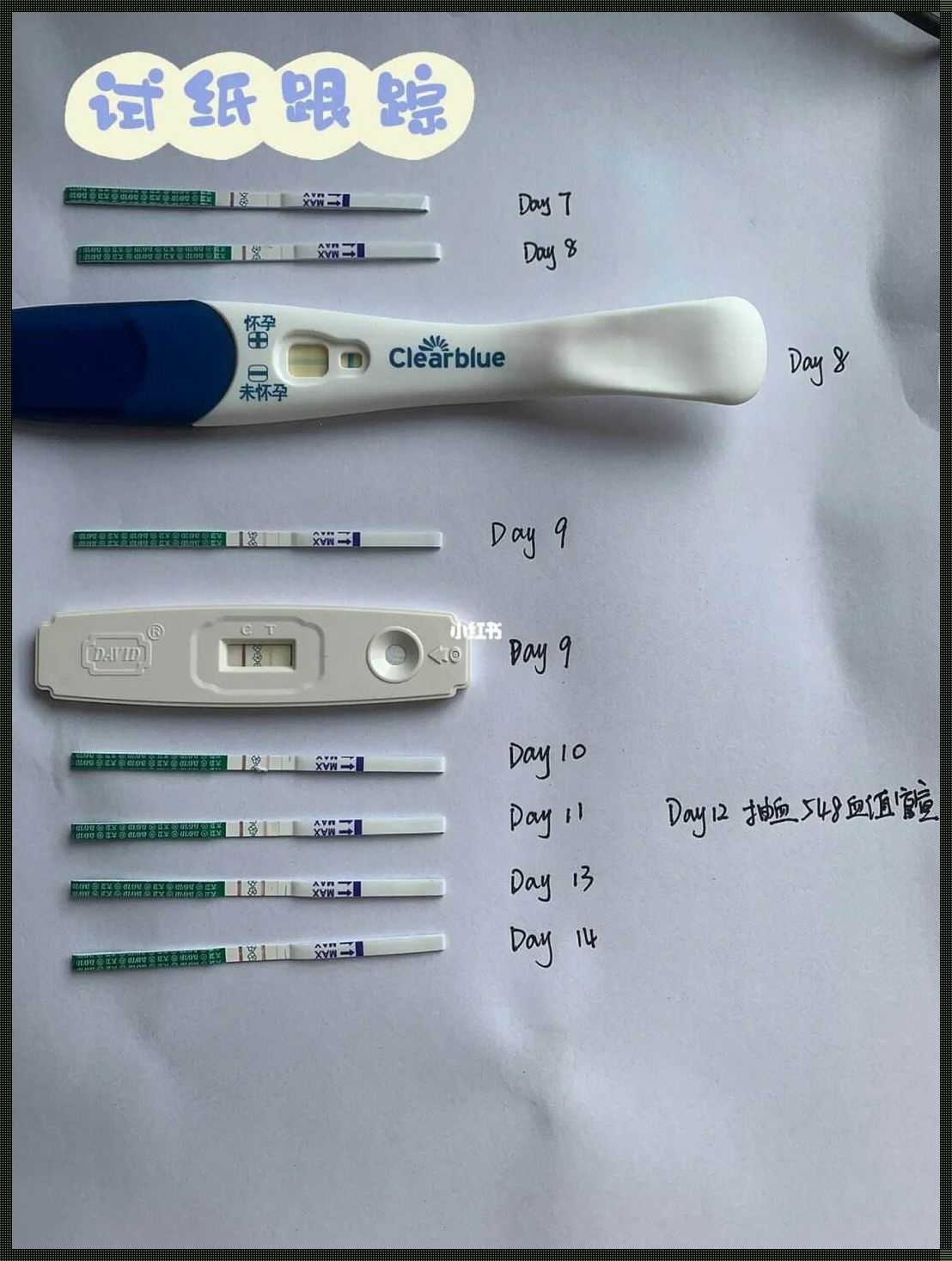 弱阳同房怀孕几率高吗？深入解析与分享