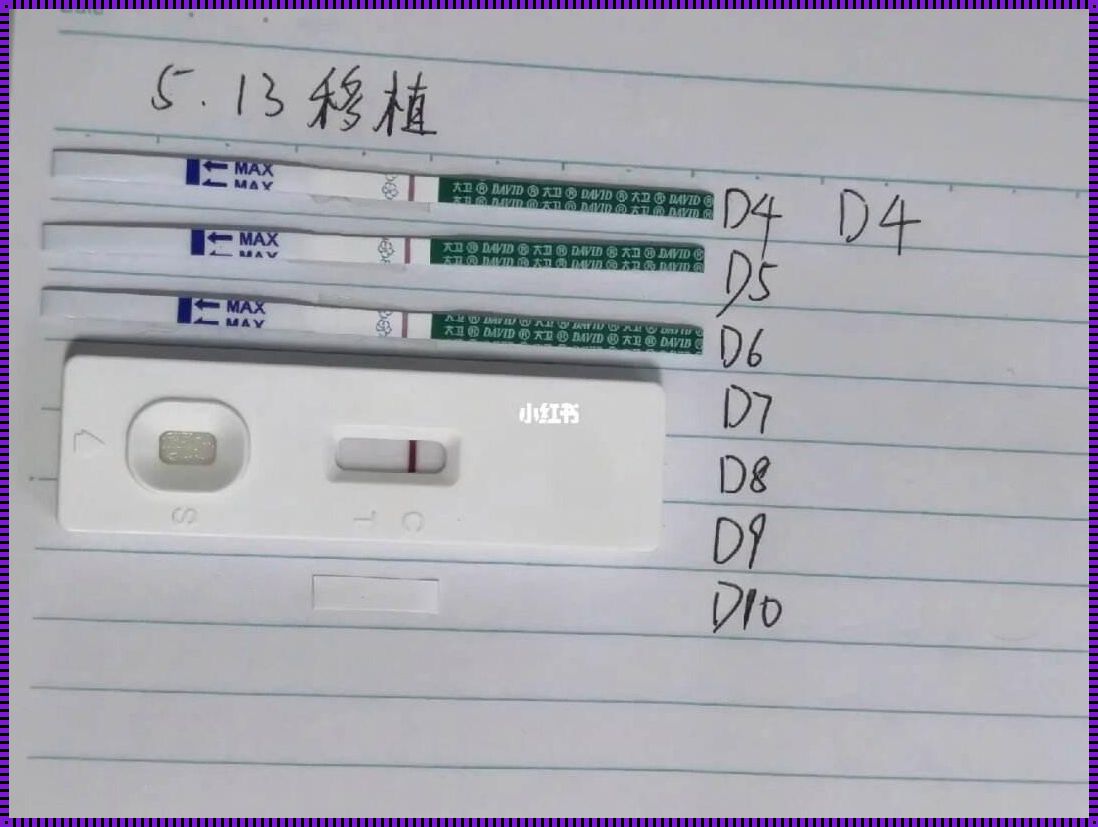 试管移植5天可以测出怀孕吗？揭秘早孕检测的神秘面纱