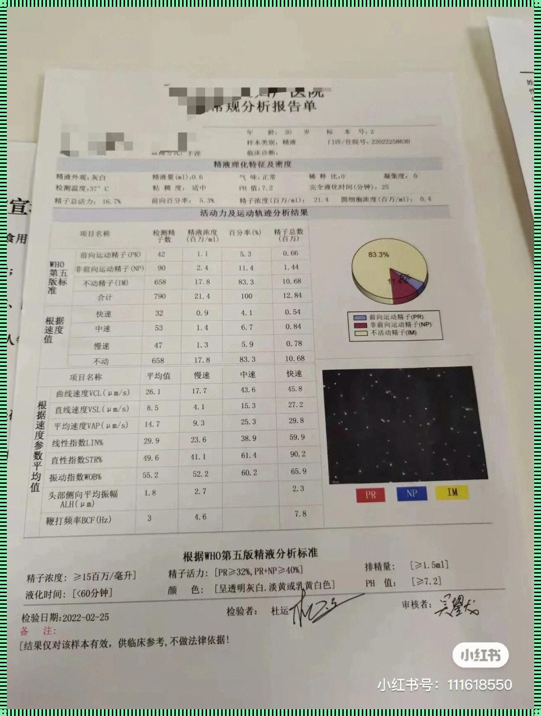 男性精子质量对胎停的影响